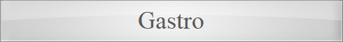 Gastro