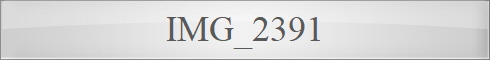 IMG_2391