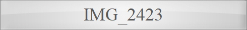 IMG_2423