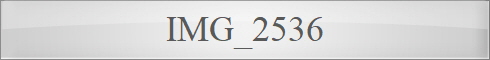 IMG_2536